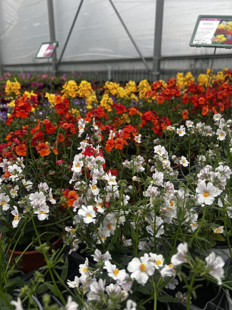 Fête des Mères : nos idées cadeaux 🌸 5 IMG 0423 min